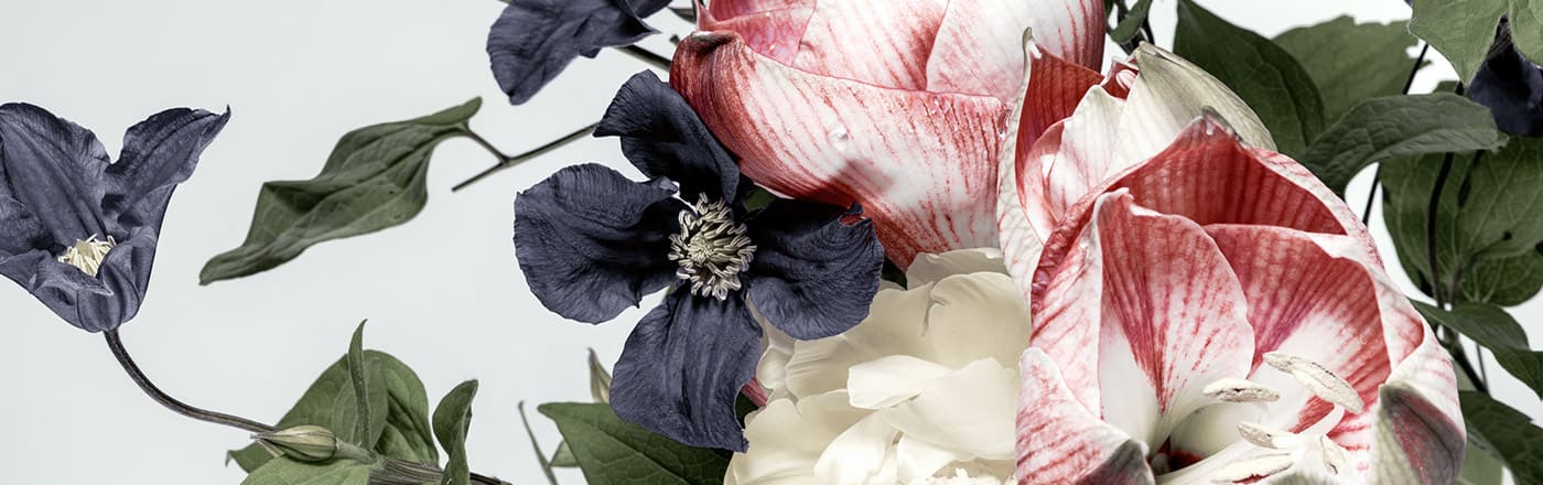 アロマ（エッセンシャルオイル）の魅力と使い方