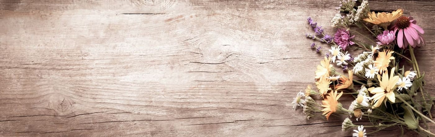 アロマの教科書｜エッセンシャルオイルで癒す暮らし